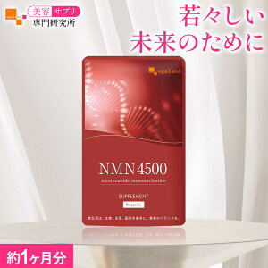 �y�����L���O��܁z NMN �T�v�������g 4500�i��1�������j�������� �����x �j�R�`���A�~�h ���m�k�N���I�`�h ��-NMN �T�v�������g �T�v�� ���e ���N nmn �������� ���Y ���e�T�v����匤�����I�[