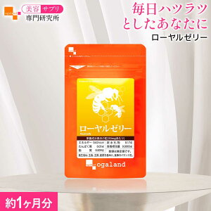 [[[i1jTvg Tv ݂͂y C[[ fZ_ N C ς eTv 40ȏ̉h{f ogaland I[Kh nccƂ