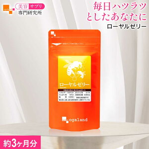 [[[i3jTvg Tv ݂͂y C[[ fZ_ N C ς eTv 40ȏ̉h{f ogaland I[Kh nccƂ