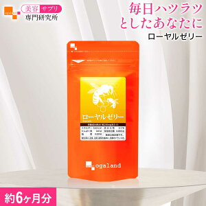 [[[i6jTvg Tv ݂͂y C[[ fZ_ N C ς eTv 40ȏ̉h{f ogaland I[Kh nccƂ