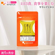 サラシアエキス（約1ヶ月分）ダイエットサプリ ダイエット サプリ サプリメント 美容 健康 炭水化物や揚…