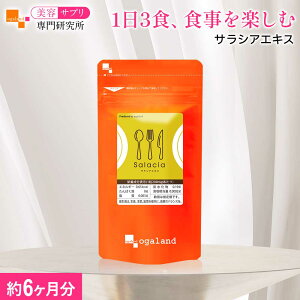 TVAGLXi6jp  _CGbg TVA Tv R^m[ TVm[ Tvg e N YgDȕ 13HAHyށ e