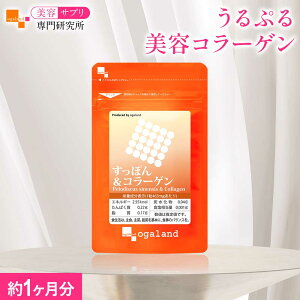 ۂ񁕃R[Qi1j Tvg Tv K{A~m_r^~A~lނLx e N   I[Kh supplement eTv匤I[K