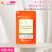 楽天市場】キャンドルブッシュ（食物繊維｜サプリメント）：ダイエット 