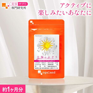 ẑԂǂi1j Tvg vAgVAjW |tFm[ S[fx[ Tv CJx[ ԃuhEqGLX Tv N e eTv匤