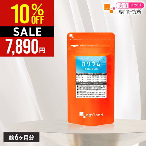 y|Cg10{mzy10%OFF SALEzJEi6j Tvg R[VN ͂Ƃނ NG_ r^~B1 B2 B6 uhEqGLX e JEs ~l igE 