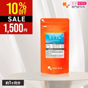 �y10��OFF�z�J���E���i��1�������j�������� �T�v�������g �R�[���V���N �͂Ƃނ� �N�G���_ �r�^�~��B1 B2 B6 �u�h�E��q�G�L�X ���e �J���E���s�� �~�l���� �i�g���E�� �|���t�F�m�[�� ������