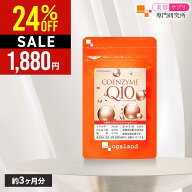 【ランキング受賞】 【24％OFF SALE】コエンザイムQ10（約3ヶ月分）送料無料 美容 ダイエット サプリメン…