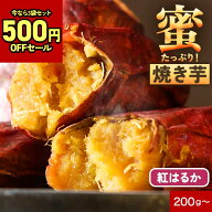 500円OFFセール【1位獲得】焼き芋 紅はるか 蜜たっぷり 小さめサイズ 鹿児島県産 さつまいもスイーツ レ…