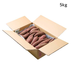 y2025NY 12{͂zY ܂ VNXC[g ( 2kg^5kg ) ̌  Y V ܈  n Â _sgp w엿sgp zNzN Tc}C H@