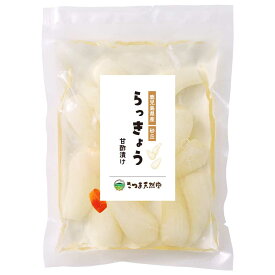 【新商品】送料無料 らっきょう 甘酢漬け 国産 無添加 化学調味料 保存料 着色料 不使用 砂丘らっきょう 鹿児島県産 80g 手作り やまと紅 大粒 吹上浜 唐浜 瀬戸の塩 数量限定 ほのかな辛味 ピリ辛 食物繊維 カリウム 辣韮 ラッキョウ シャキシャキ ふるさとの味