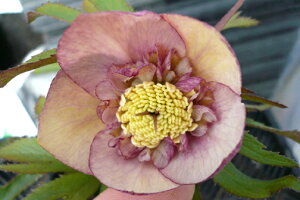 NX}X[YEIG^X Z~_uEAvRbg