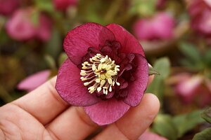 NX}X[YEIG^X Z~_uECfBAbh