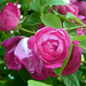 AbvEV[hic\j7A o oc