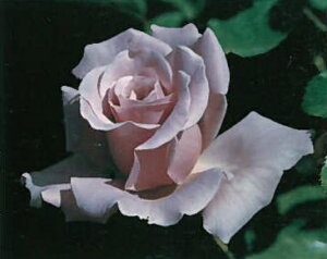 X^[OVo[ic\j7A o oc