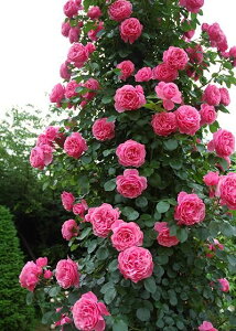 IihE_EB`ic\j7A o oc