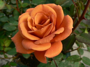 efBxA[ic\j7A o oc