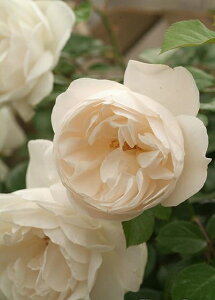 T}[E[Yic\j7A o oc s_ѐY o^it