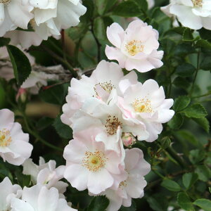 (炵)ic\j7A o oc s_it