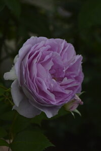 G[fV^Cic\j7A Ԃ炫 o oc s_ѐY o^it