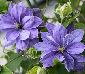 N}`X@fj[EEB[Nf@nFWbN}j[n@12cm|bg