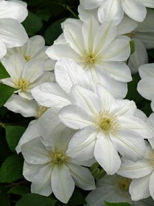 N}`X 'P' nFkMm[T V}炫