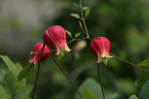 N}`X '̂f@nFBIin@12cm|bgsco^it