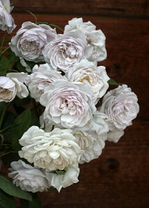 O[ic\j7A lG炫iVuj h~jNE}Th oc s_it