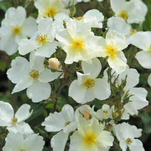 L[EK[fiAusfencejicj7A CObV[YifrbhEI[X`[Yj oc s_ѐY o^it