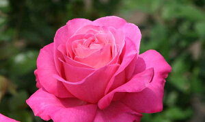 сiނсjic\j 7A lG炫֌ninCubheB[[Yj oc s_ѐY o^it