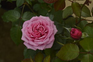 t[`[Ept[ic\j7A lG炫֌ninCubheB[[Yj oc s_ѐY o^it