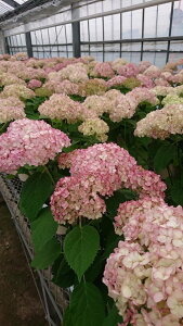 AWTCEAix@fsReBEV}ff@ϊt؁@6 s_ѐY o^it