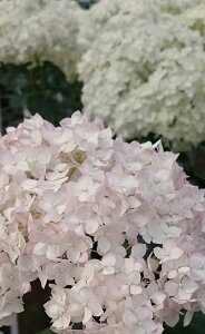 AWTCEAix@fE}jtB[Nf@ϊt؁@6@sco^o蒆t