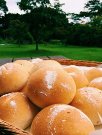 おおがファームの自家製パン3種セット（おおがフランス5個・天然酵母パン5個・フォカッチャ5個入り）　ogafarmオリジナル