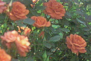 ~jo@fefBxA[f@5A@lG炫@oci}ؕcj