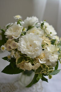 Gg[Euic\j 7A oc Vu[Y lG炫  ͖{o Kawamoto Brand Roses s_ѐY o^it