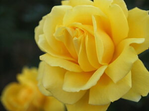 W[iEuW[_ic\j7A oc lG炫֌ninCubheB[[Yj