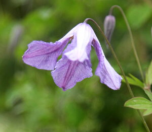 N}`X f[jOEwui[jOEwjf nFr`Zn 12cm|bg