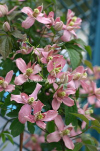 N}`X 'u[hEX^[iuEgEX^[jf@nF^in@12cm|bg