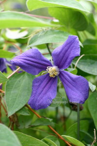 N}`X 'ffBf@nFCeOtHAn@12cm|bg