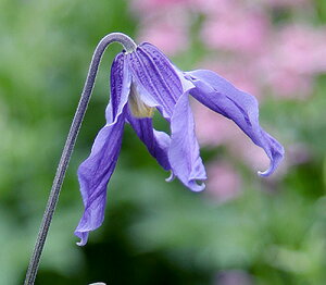 N}`X ft[Eu[f@nFfCeOtHAn@4.5|bg@ytO[IWi