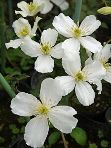 N}`X '^i OfBt[f@nF^in@12cm|bg