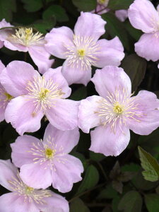 N}`X '^i C[f@nF^in@12cm|bg