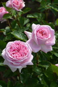 A[EmbNXic\j7A lG炫 TEIGeBX vObVIV[Y oc s_ѐY o^it