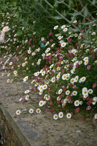 GQ JrXLAkX hi10.5cm|bgj