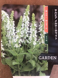 TrAEl[T @h@10.5cm|bg