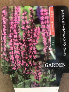 TrAEl[T @h@10.5cm|bg