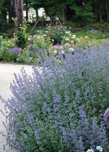 ly^ fVbNXqYWCAgfi10.5cm|bgj h