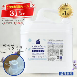 y9/19`ő40OFFӃZ[zY e l  {fB\[v Sg VR ΂ Vv[   Ό t Ƒ  jIC j ̏L  {fB[ e  玉 ~h L  q