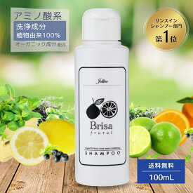 【レビュー投稿でプレゼント!!】アミノ酸系 ヘア シャンプー 天然 低刺激 毛 ノンシリコン 無添加 オーガニック リンスインシャンプー フケ かゆみ ハリ コシ 自然 髪 地肌 乾燥 保湿 トラベル 旅行 入院 アロマ フルーツ 精油 シトラス ブリッサ 100mL 送料無料【RSL】